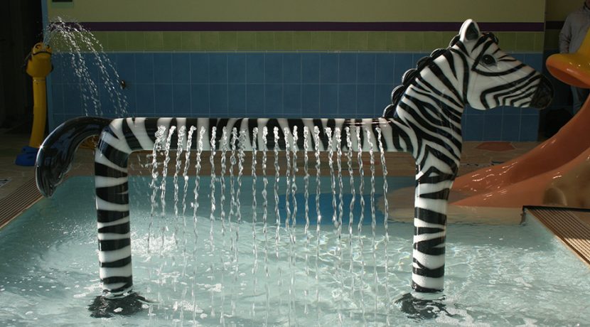 Aquatix Custom Zebra Water Spray