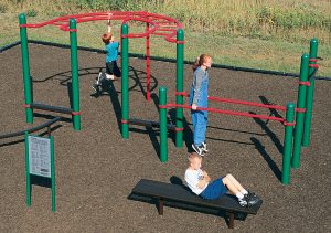 Fitness Cluster