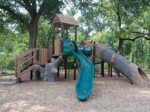 Nature-Inspired Play Structure