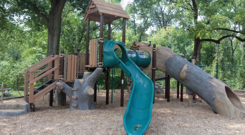 Nature-Inspired Play Structure