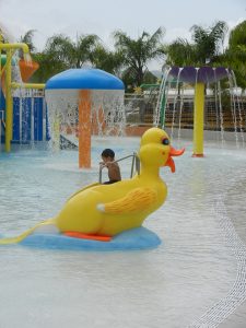 Aquatix Duck Slide