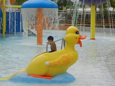 Aquatix Duck Slide