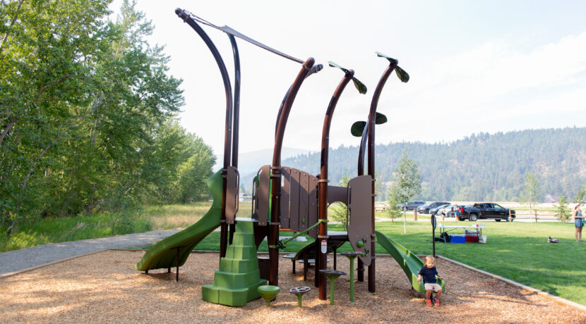 Sprig Play Structure