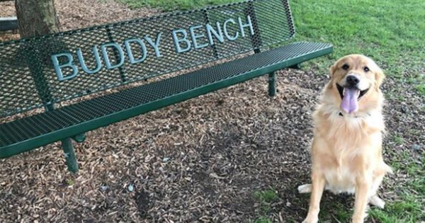 Premier Polysteel Buddy Bench