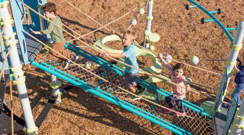 FlexxWay Climber